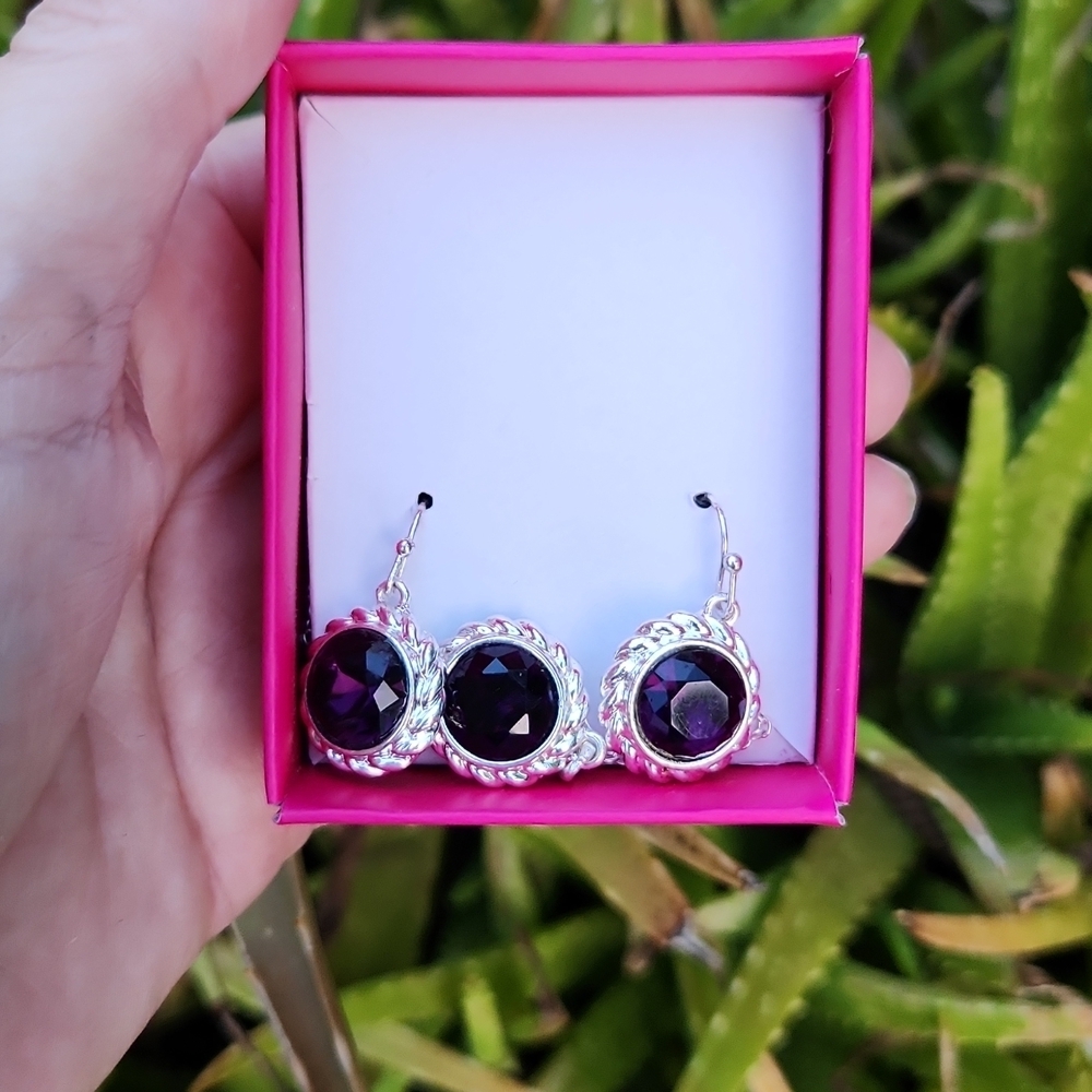 NEW! FEBRUARY - Birthstone Necklace & Earring Set - February purple